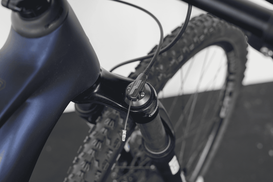 UNITED CLOVIS 6.2 29