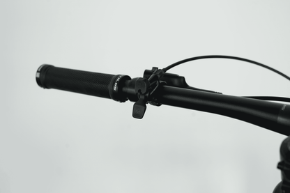 UNITED CLOVIS 6.2 29