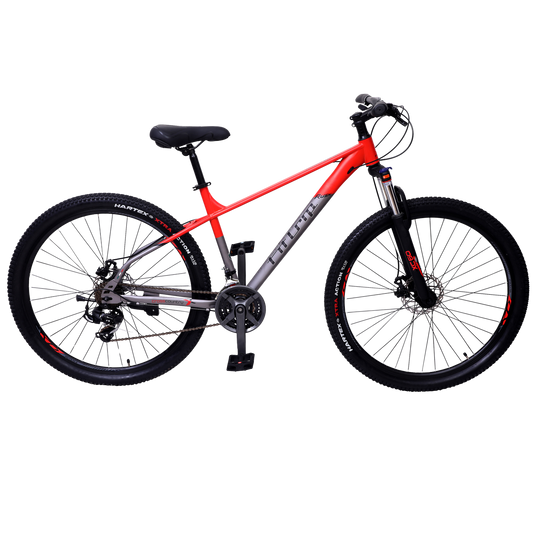 Fittrip Bike Nywton Bikes N Gears